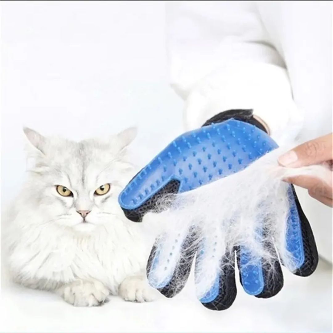 Beautiful view of Norrbotten Dog De-Shedding Gloves