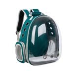 Cat Backpack / Cat Carrying Bag / Transparent Back