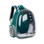 Cat Backpack / Cat Carrying Bag / Transparent Back