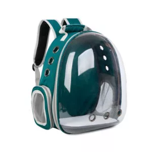 Cat Backpack / Cat Carrying Bag / Transparent Back