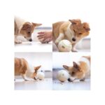 Anko Interactive Pet Electronic Treat Ball Dog Toys - Image 7