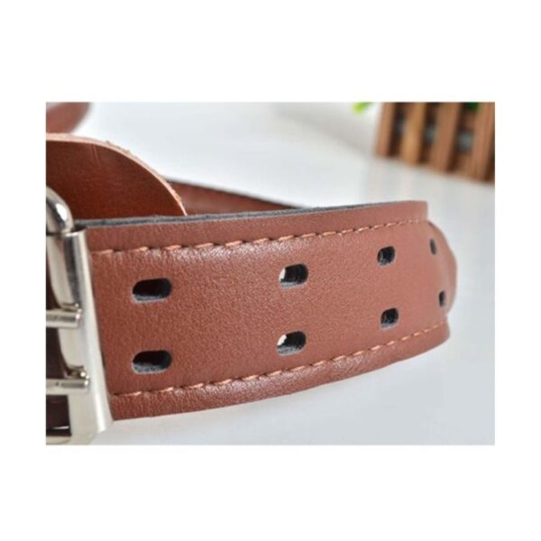 Pure Leather Dog Collar And Leash With Soft Handle - Image 3