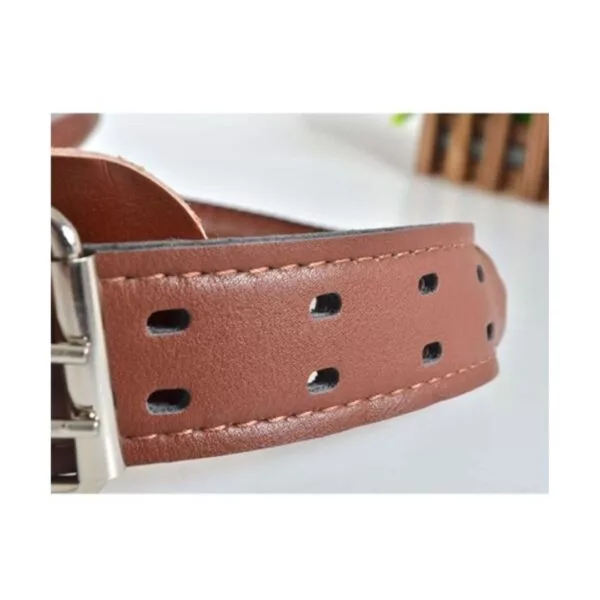 Pure Leather Dog Collar And Leash With Soft Handle - Image 3
