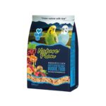 Nature Plan Fruit Flavor and Honey Budgie Food – 500 Gram