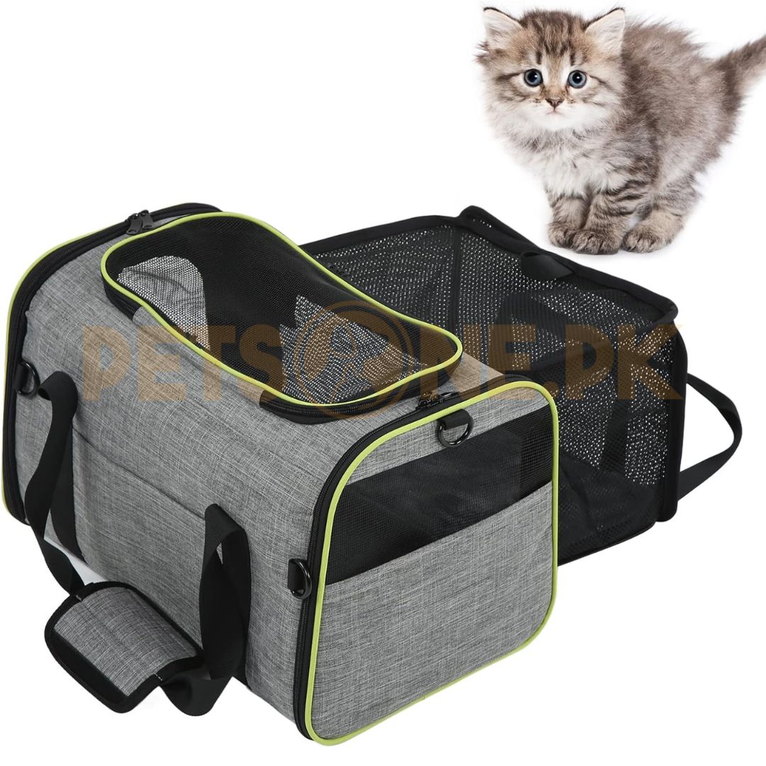 11 Pawline Carrier / Cat And Dog Carry Bag - Image 1
