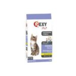 Rexy Plus Kitten / Professional Formula Chicken