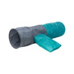 Trixie Playing Tunnel