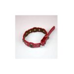 Cat Collar / Puppy Collar