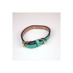 Premium Collar for Cats