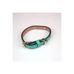 Premium Collar for Cats