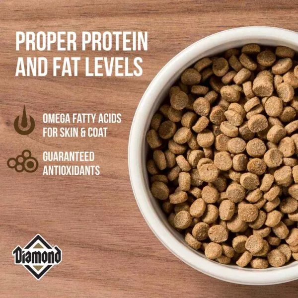 Diamond MAINTENANCE CAT Food - Image 2