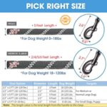 5 FT Strong Dog Leash With Reflective Threads And Small Links - Image 2