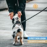 5 FT Strong Dog Leash With Reflective Threads And Small Links - Image 4