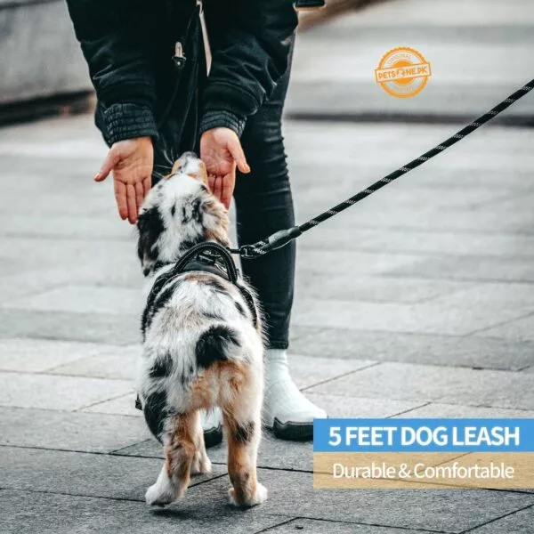 5 FT Strong Dog Leash With Reflective Threads And Small Links - Image 4