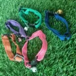Cat Collars Pack / 5 in 1 Pack of Cat Collars - Image 3