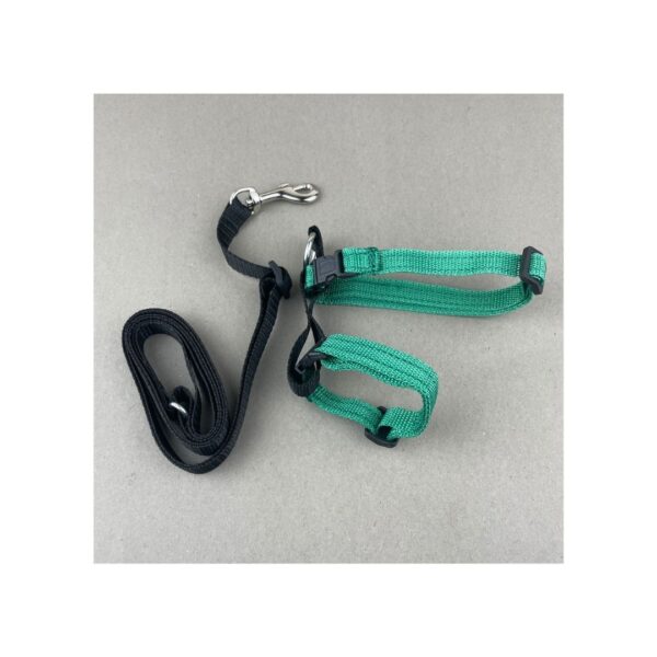 Cat Harness And Leash - Image 2