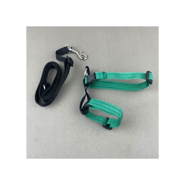 Cat Harness And Leash - Image 3