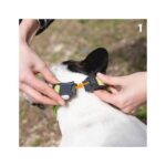 EVOLUTION C - Image 2