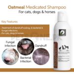 Fluff n Buff Oatmeal Medicated Shampoo - Image 2