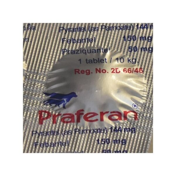 Praferan – 1 Deworming Tablet for Cat n Dogs / (Helminticide - L) - Image 2