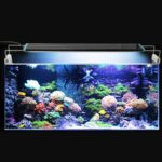 LED Light for Aquarium – 60 CM