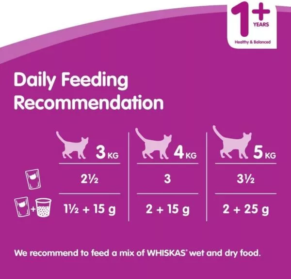 Whiskas 1+ Pouches Favorite Fish In Jelly – 12 Pouch Box - Image 3