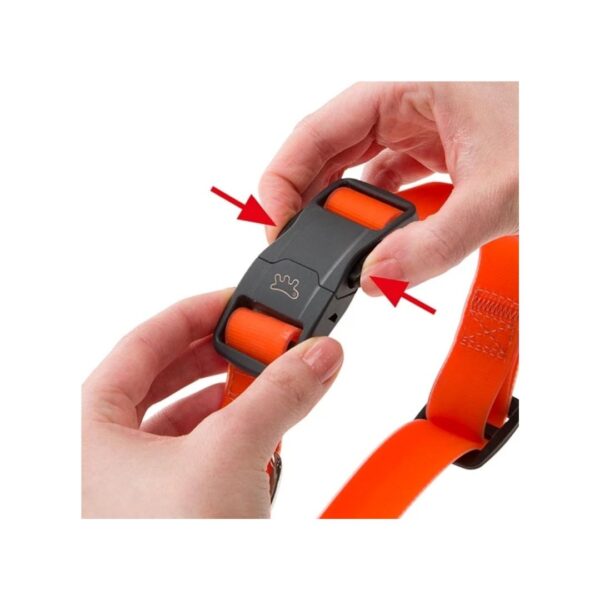 EVOLUTION C - Image 3