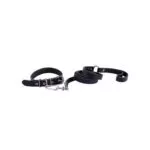 Dogs Leather Collar with Leash