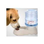 Large Food Dispenser for Dogs n Cats