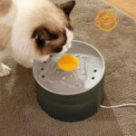 Automatic Cat/Dog Water Fountain - Image 4