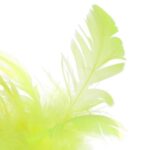 Bell Feather Tumbler Interactive Puzzle Kitten Toy - Image 5