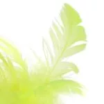 Bell Feather Tumbler Interactive Puzzle Kitten Toy - Image 5