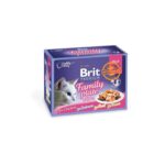 Brit Premium Cat Box (12 Pouch) Family Plate Jelly