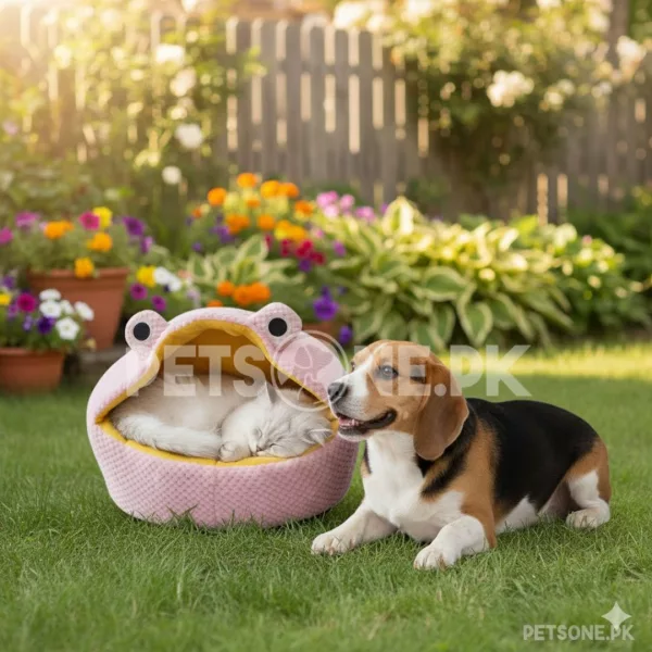 Semi- Enclosed Filling Round With Frog Shap Cat Bed Design – D - Image 3