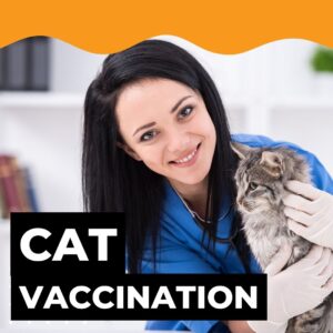 Cats Vaccination / Complete Vaccination / 1 Vaccine Shot