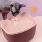 Automatic Pet Feeder and Water Fountain - Image 5