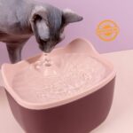 Cat Design Cat/Dog Water Fountain