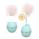 Cat Design Funny Interactive Cat Toy With Feather - Image 2