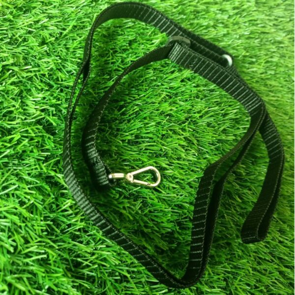 Cat Harness And Leash - Image 8