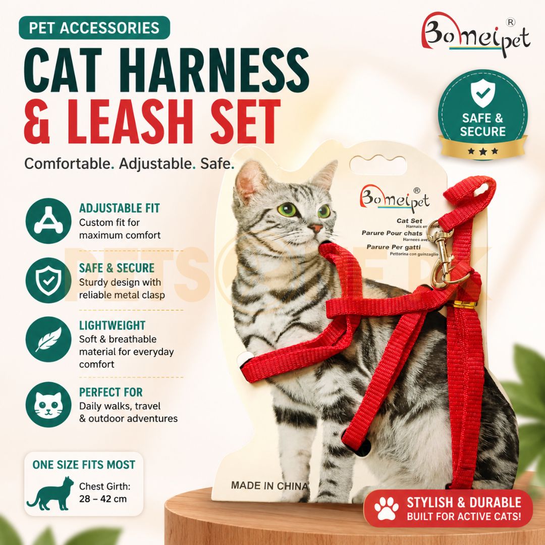 Cat Harness And Leash Cat Harness And Leash - Image 1