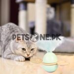 Cat Toy Kitten Toys Funny Tumbler With Bell - Image 3