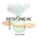 Cat Toy Kitten Toys Funny Tumbler With Bell - Image 4