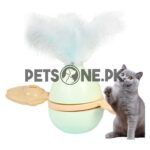 Cat Toy Kitten Toys Funny Tumbler With Bell - Image 6
