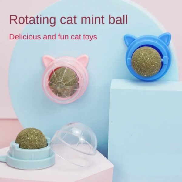 Catnip Ball Cat Snacks Toy Treats - Image 4
