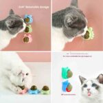 Catnip Ball Cat Snacks Toy Treats