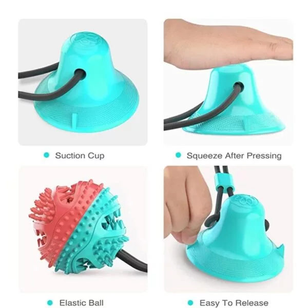 Chew Double Suction With Teething Rope / Dog Toy - Image 4