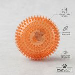 Wheel Shape Squeaky Dog Chew Toy With Light