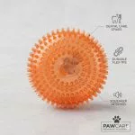Wheel Shape Squeaky Dog Chew Toy With Light