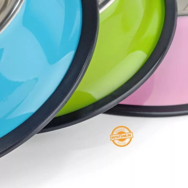 Colored Stainless Steel Pet Bowl for Pets - Image 7