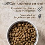 Diamond Naturals Large Breed Puppy Formula Lamb And Rice Dog Dry Food - Image 3